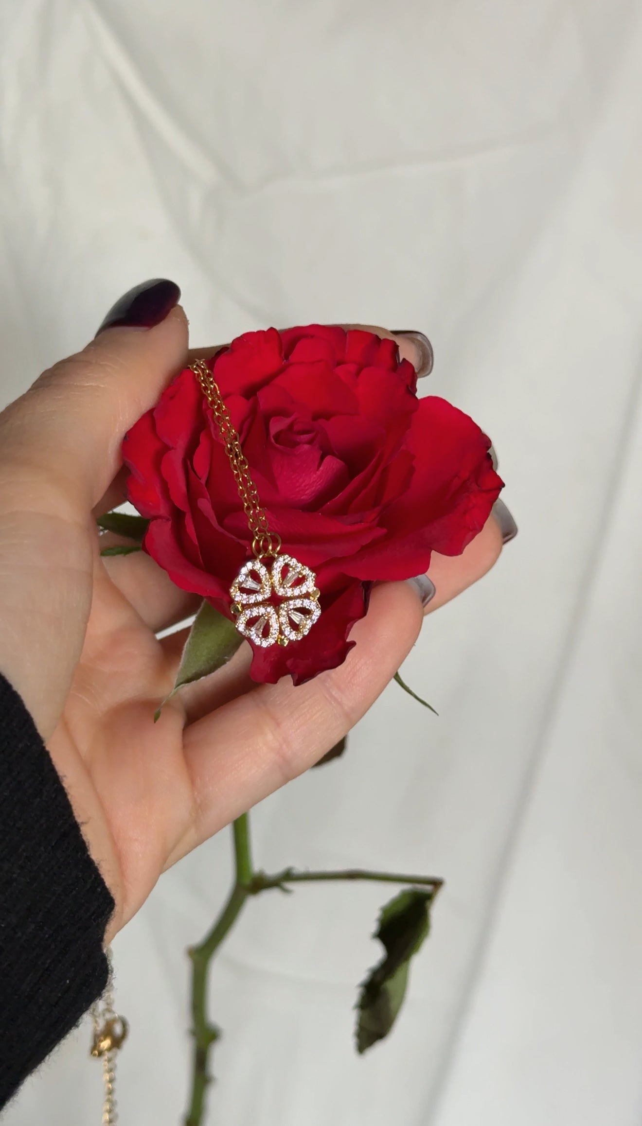 Coffret Cadeau Saint-Valentin - Collier Élégant et Roses Rouges